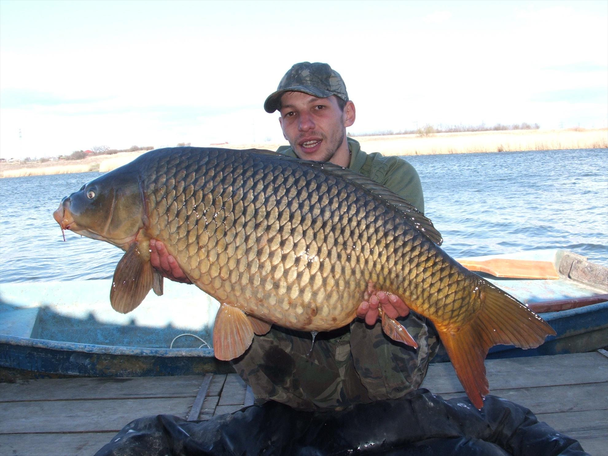 Foto dulapi - dscf0450.JPG